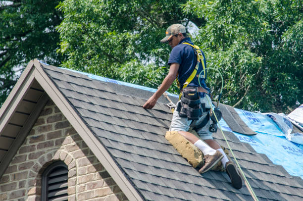 Roof Gutter Cleaning in Miles City, MT